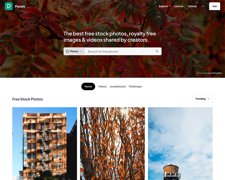 images libres de droit sur pexels