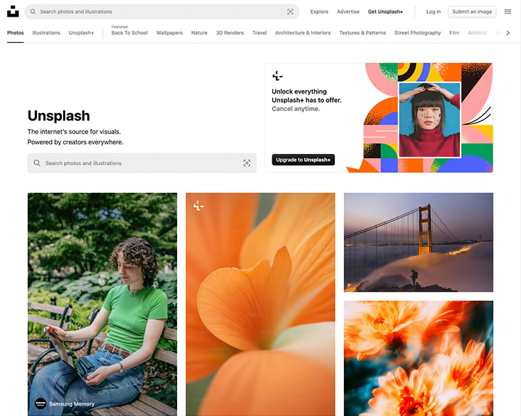 images libres de droit sur unsplash